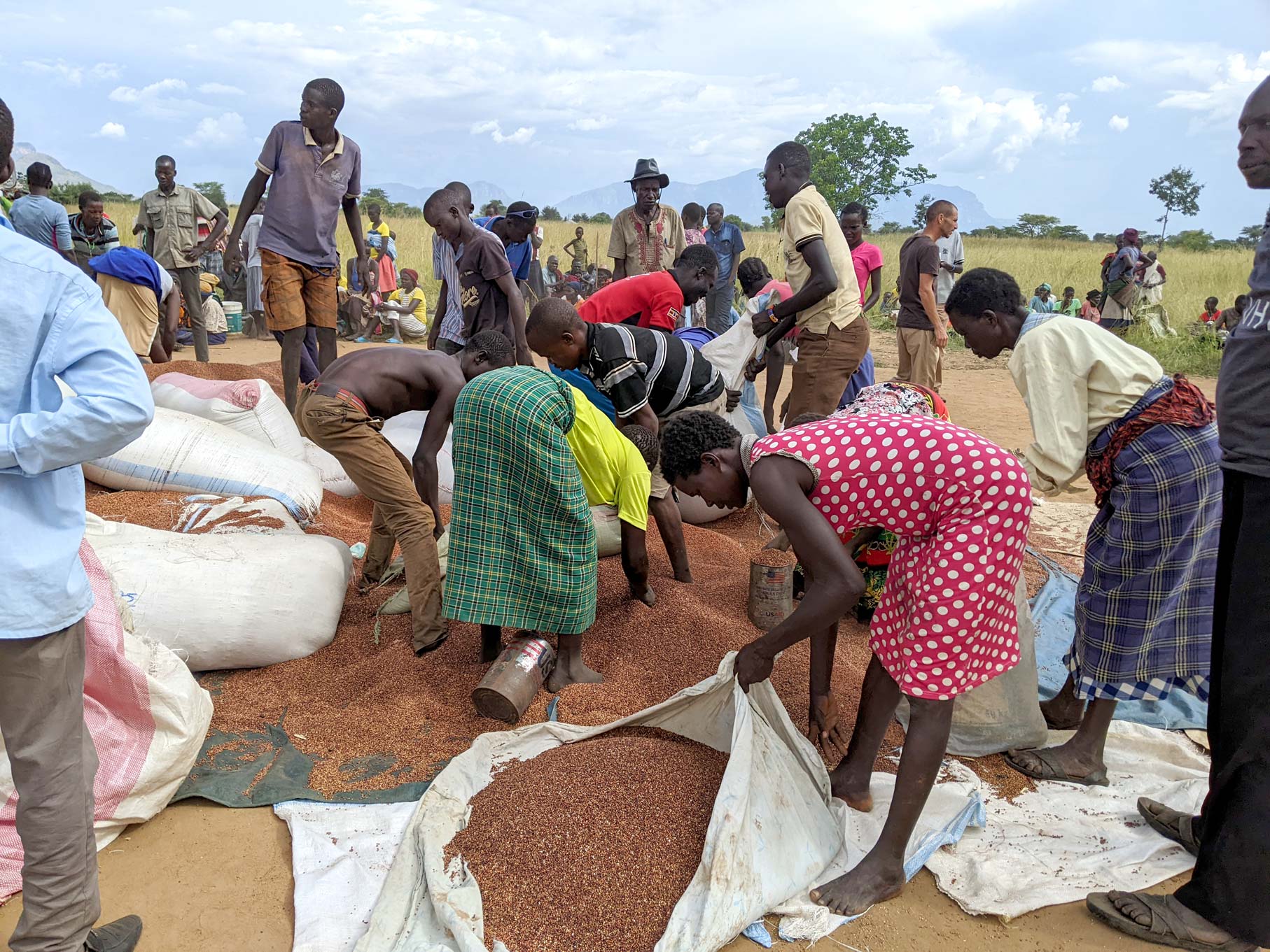 Emergency food distribution during the 2022 drought in East Africa